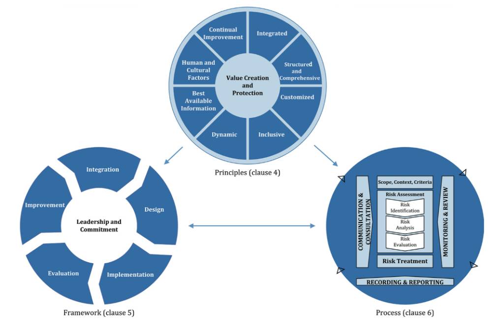 Risk Managemnt Systems